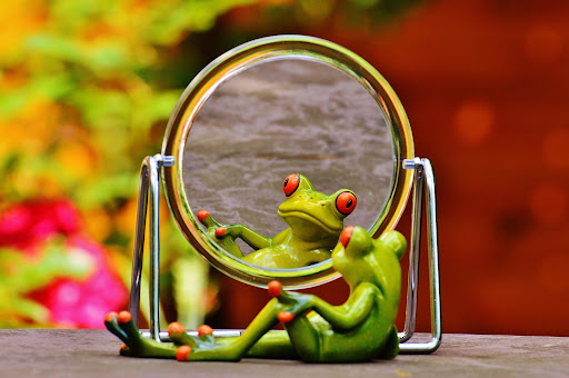 A frog looks at his reflection in a mirror.